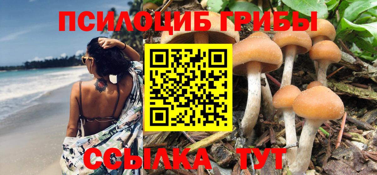 Галлюциногенные грибы Psilocybine cubensis  Вход с VPN  Видное 